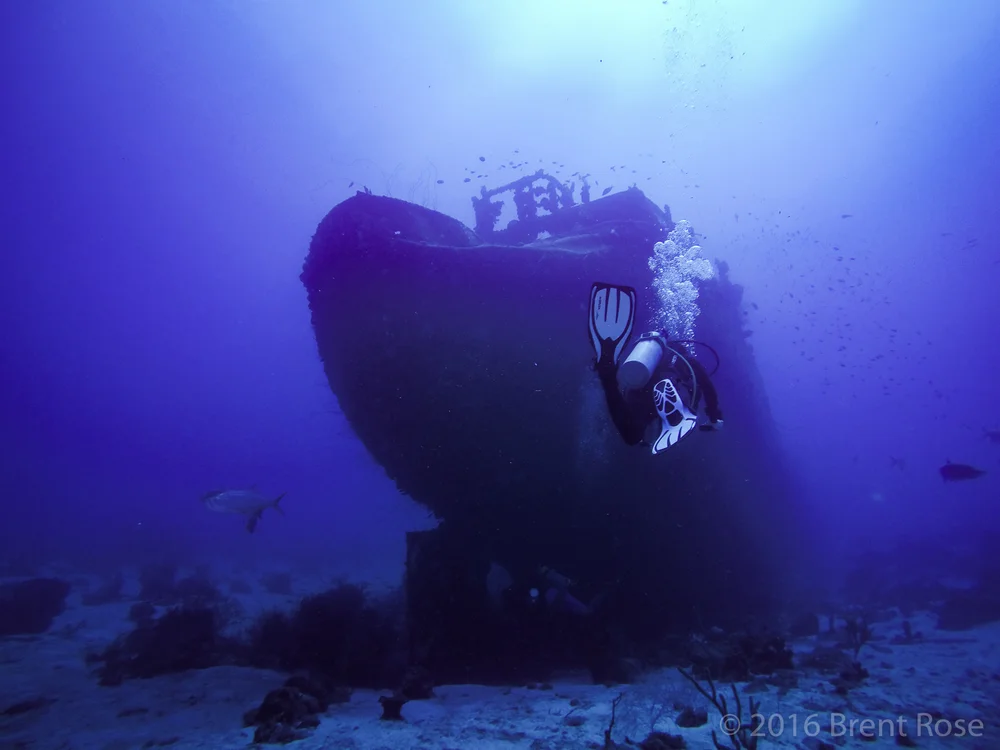 Curaçao, in the Caribbean 