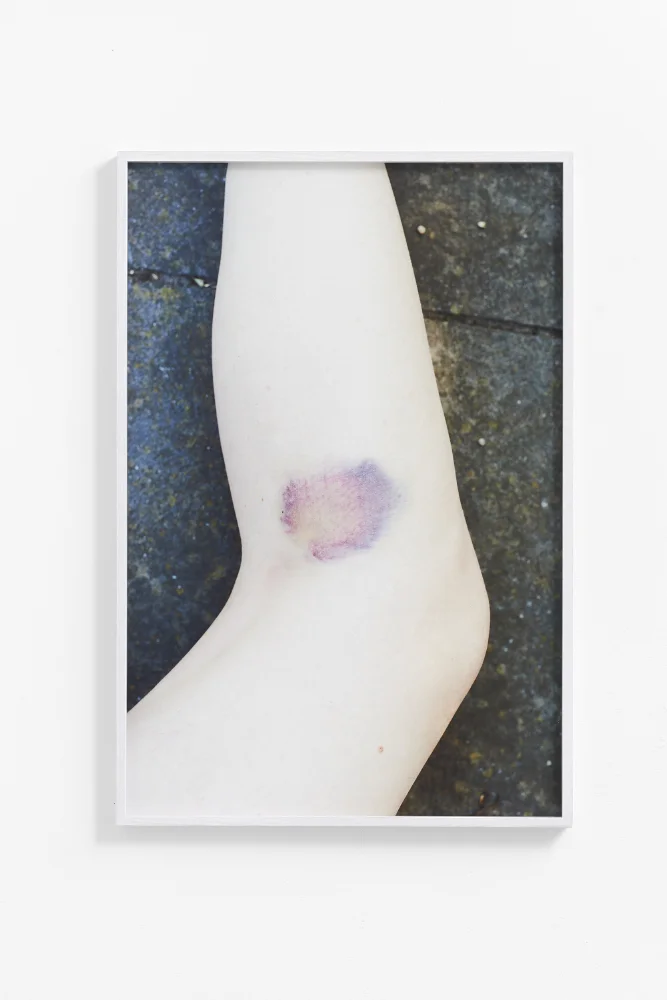 Catherine Evans_Standing Stone_Bruise.jpg
