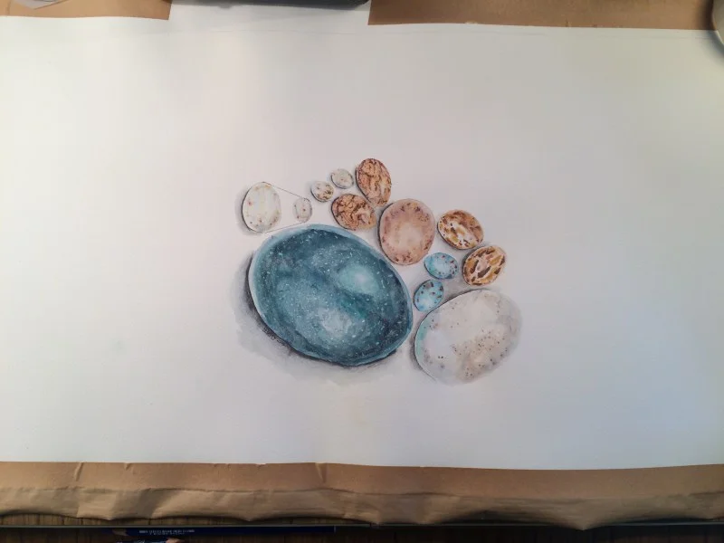 Easter egg time-lapse and stop-motion animation (CSIRO)