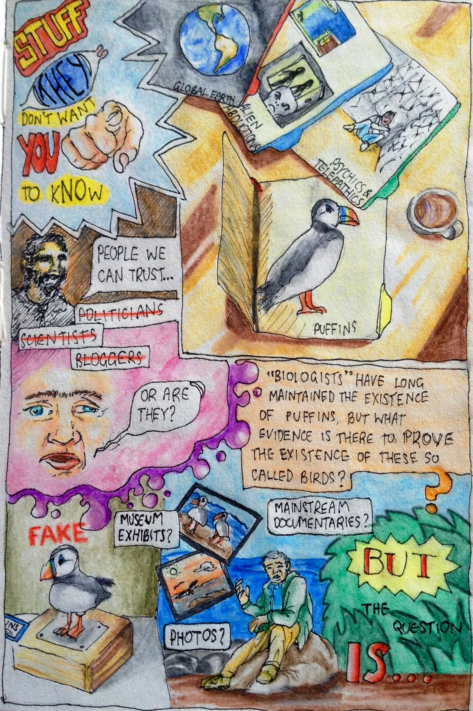 Stuff they don't want you to know: Puffins