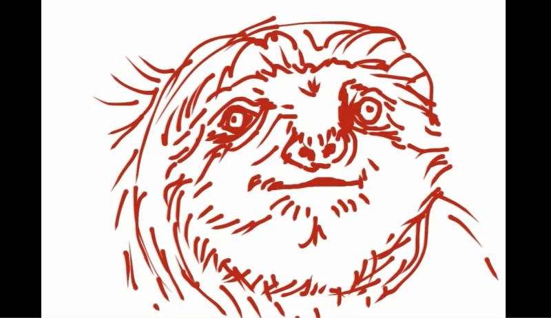 Stuff science can't explain: Sloths