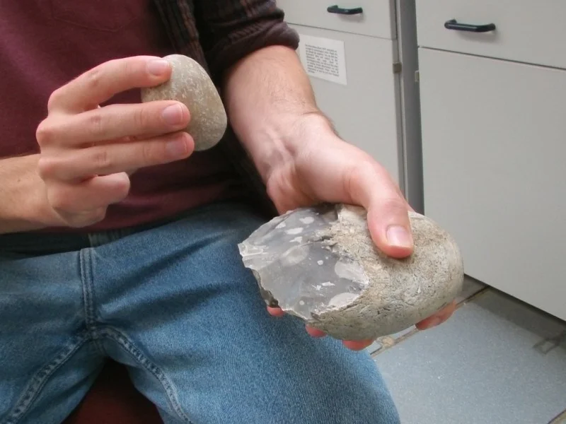 Stop Twiddling Your Nubs: How left hands helped thumb evolution
