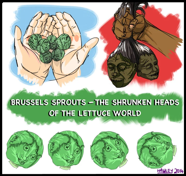 Brussels Sprouts — The shrunken heads of the lettuce world