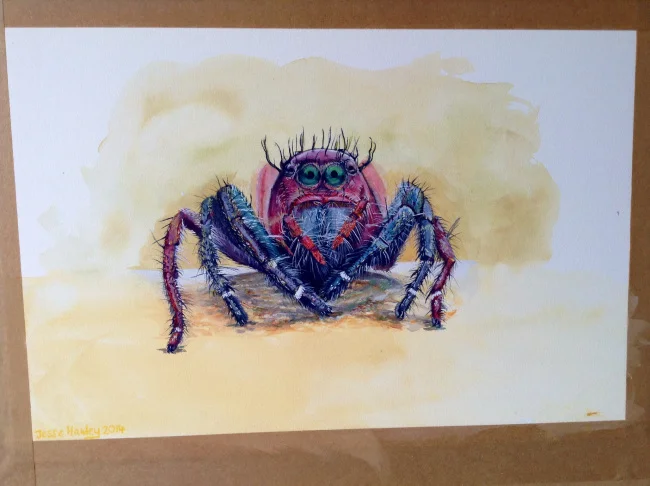 Jumping Spider Painting