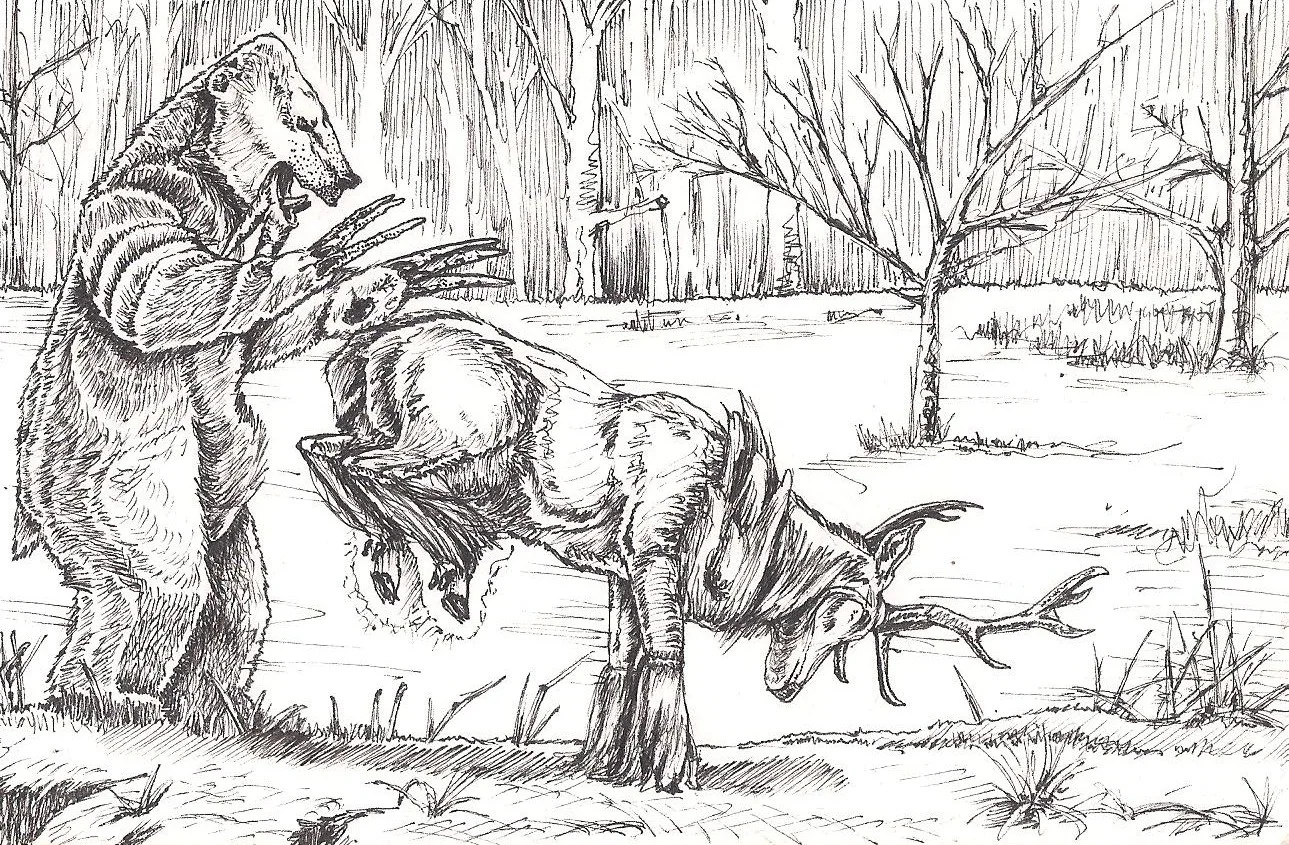 Beartic and Sawsbuck.jpg