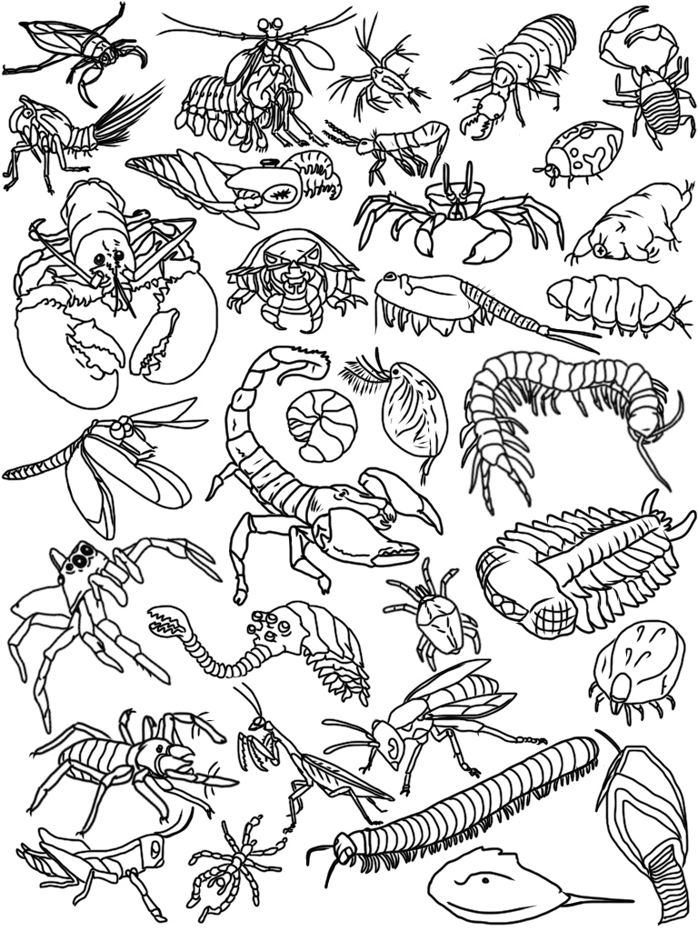 Arthropod Art (Line Art)