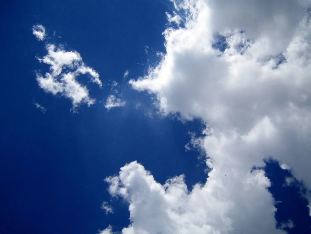 Observations, speculations, and things that go without saying