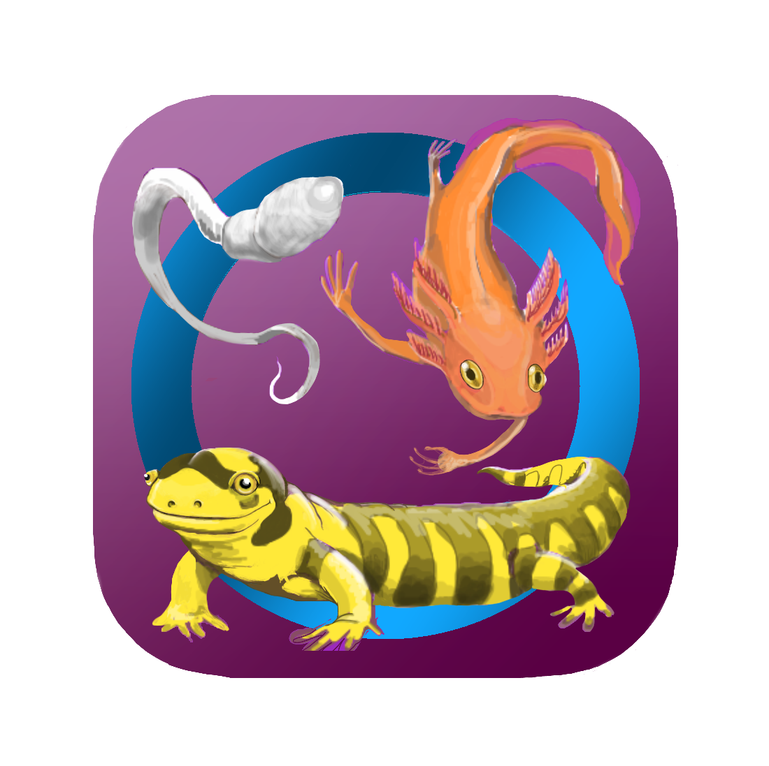 App development: Lineage