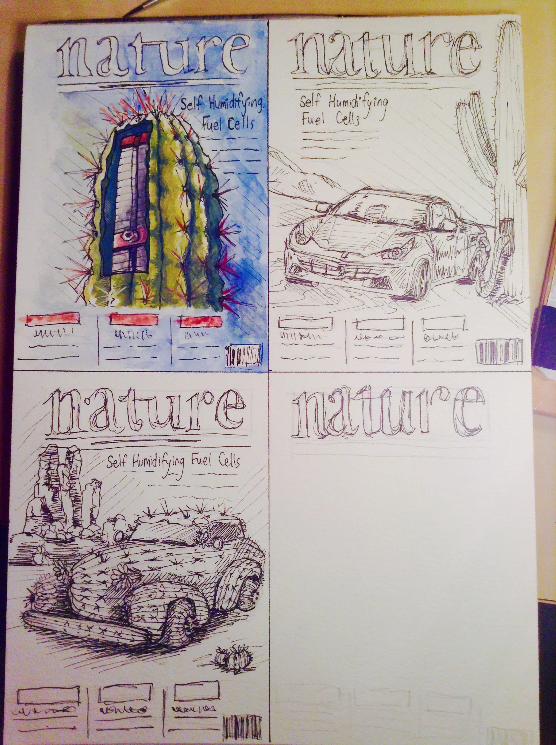 Here are the three pitches I came up with. (The fourth was going to be a car with a succulent garden under the hood, but I got sleep and they'd already decided.)