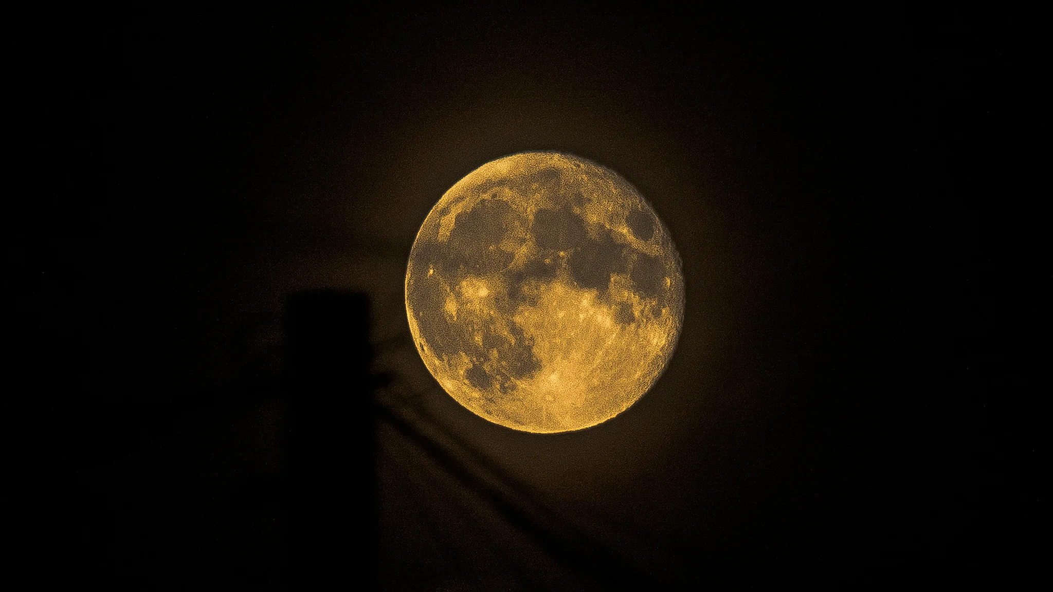 Honeymoon. Photo: Arijit_Roy/Flickr/CC BY-NC-ND 2.0