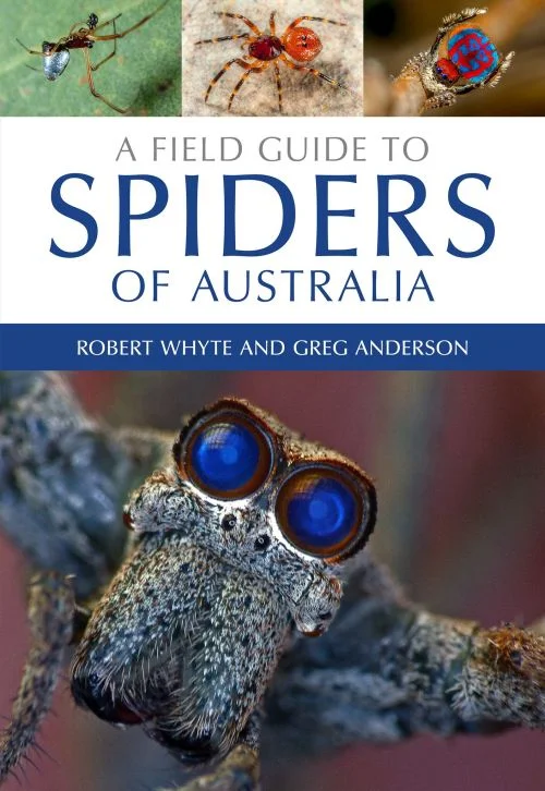 A Field Guide to Spiders of Australia cover. Don’t leave home without it.