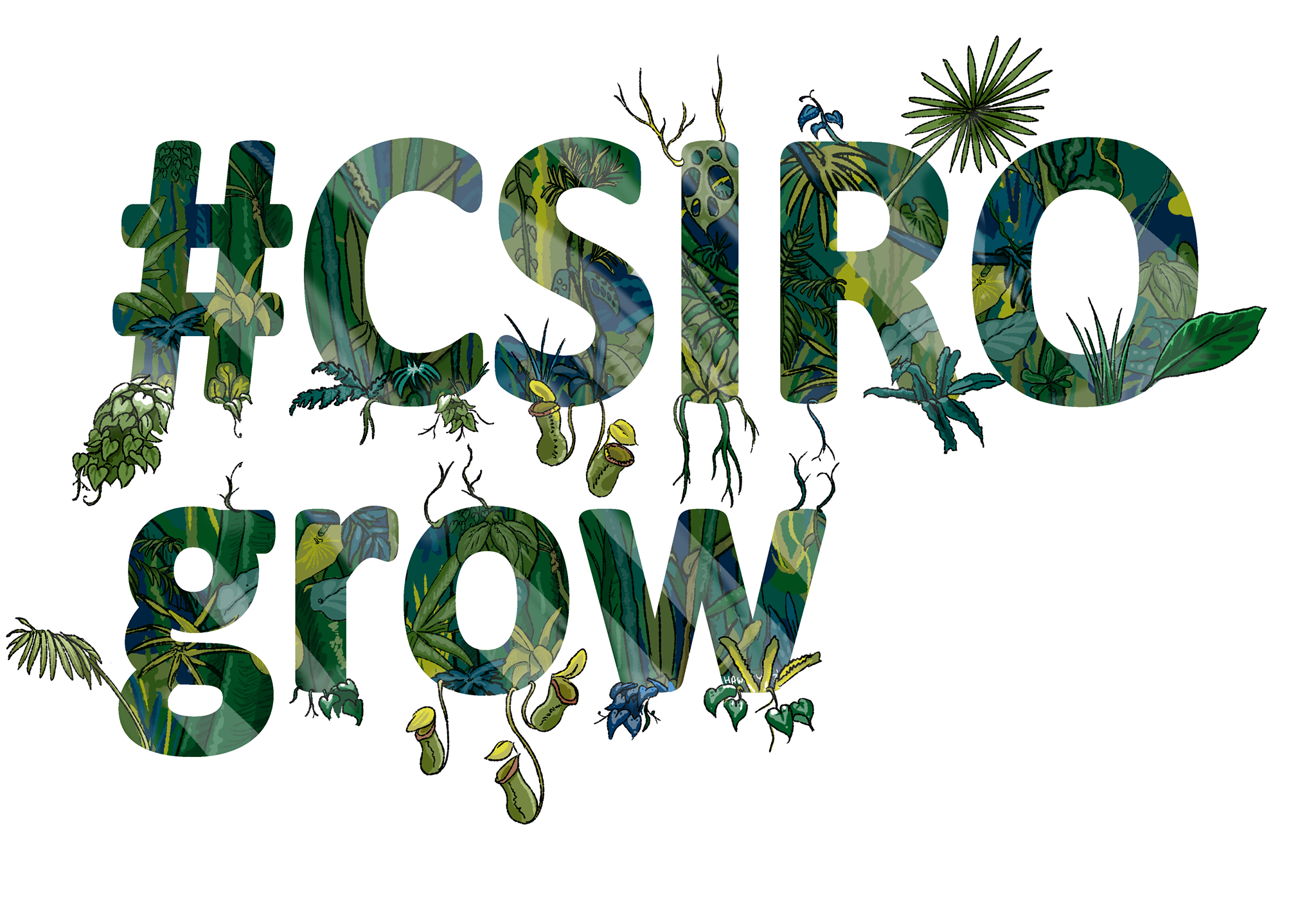 CSIRO grows.png