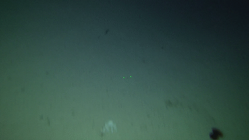 Unforeseen obstacles flying at depths. The video this GIF was taken from was called ‘Big Damn Rock’.