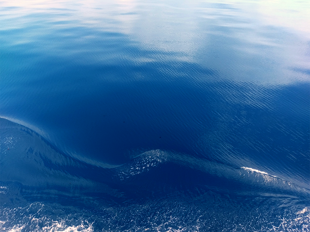 A slight breeze rippled through just as I took this shot, creating ‘sandy dune’ patterns on the water. Before and after the breeze was bizarre. For scale, spot the jellyfish.