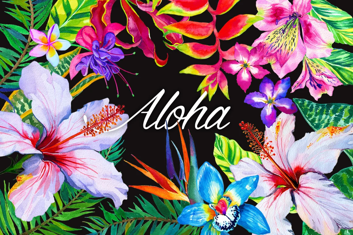 Aloha - Tropical elements kit. Commercial License