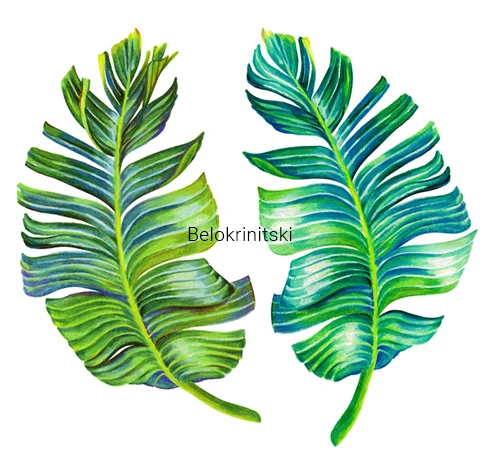 banana leaves