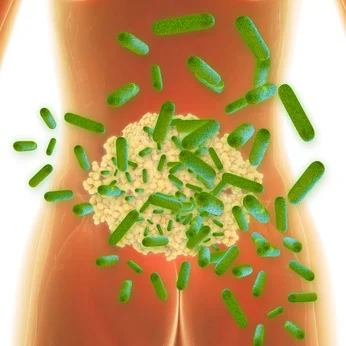 Microbiote intestinal et probiotiques