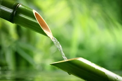 Fotolia_53644925_XS.jpg
