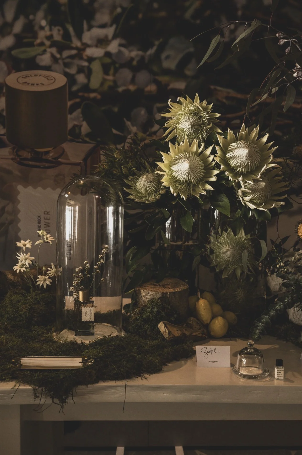 Screenshot 2025-05-07 at 10.18.jpeg