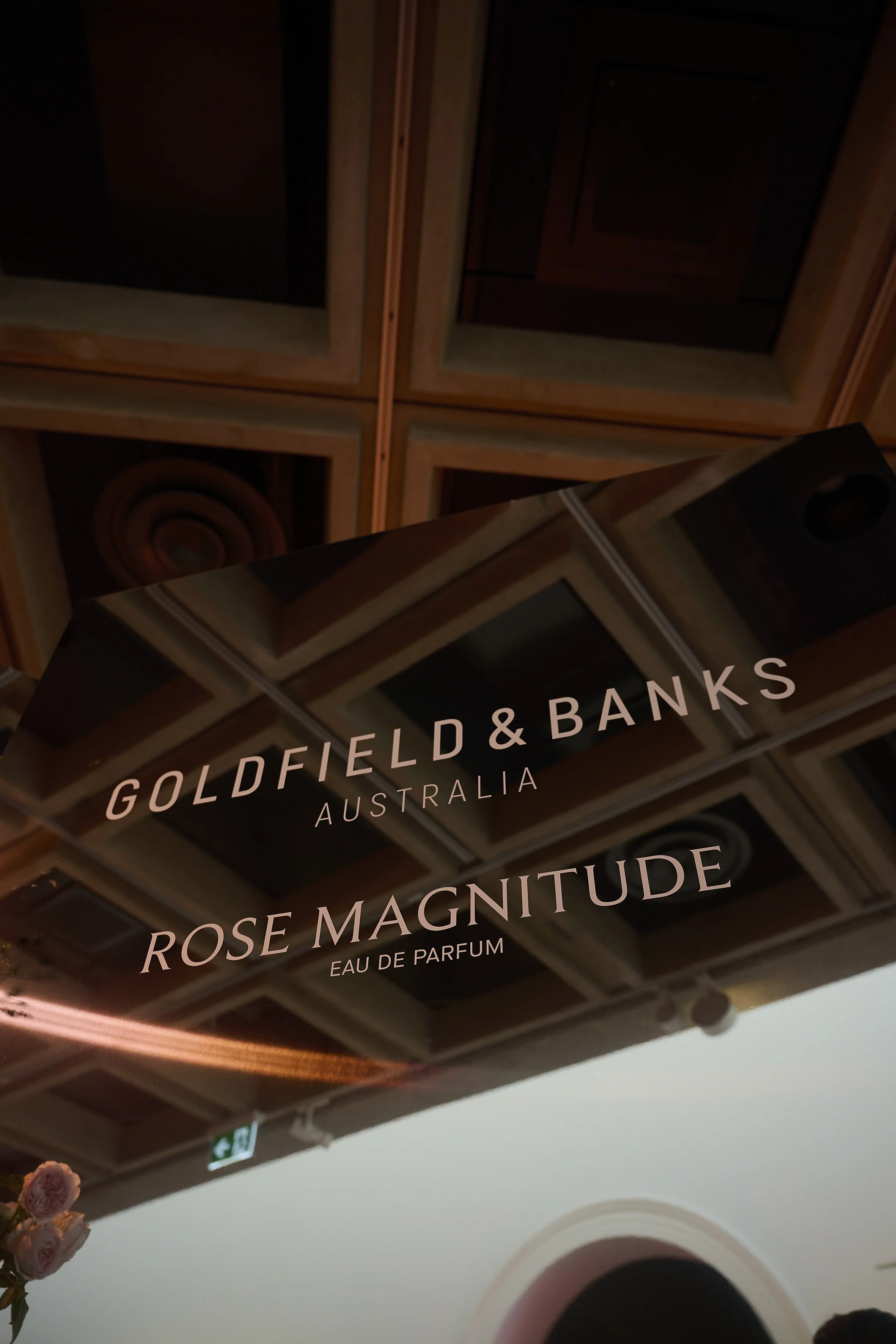 260224 GOLDFIELD & BANKS Rose Magnitude © Esteban La Tessa EL1_0270.JPG