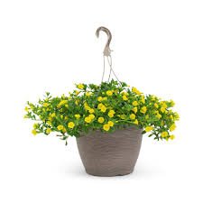 Million Bells - 11" Hanging Basket