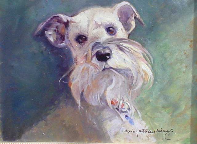 Schnauzer
