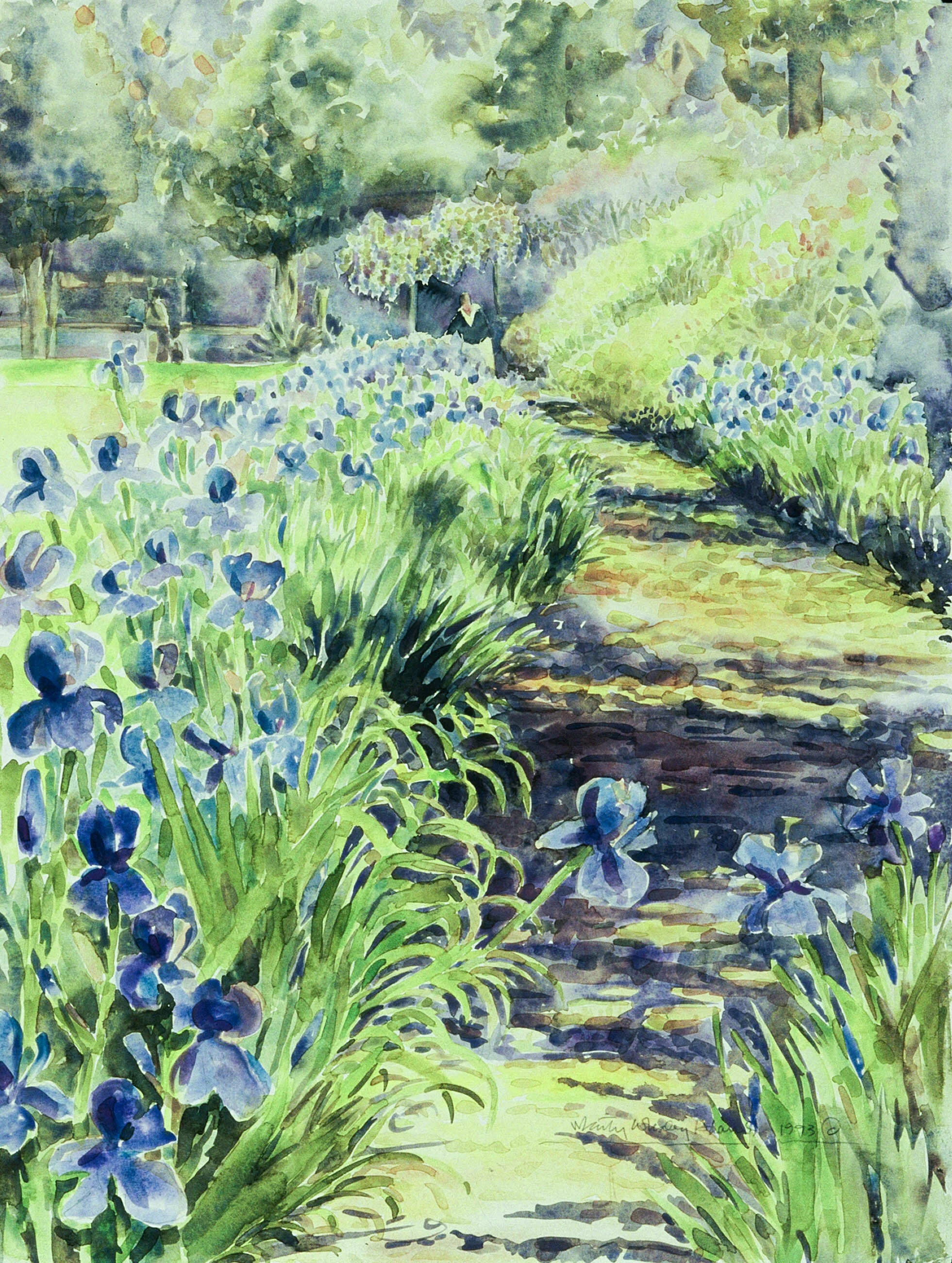 Iris Walk at Belvidere