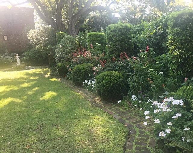 I walked into the garden last night and this morning and was astonished at its beauty. I&rsquo;ve been away since March 15 and in that time it has thrived. #beautyneverceases#mrswhaleysgarden#howlovely#inviteyoursoul