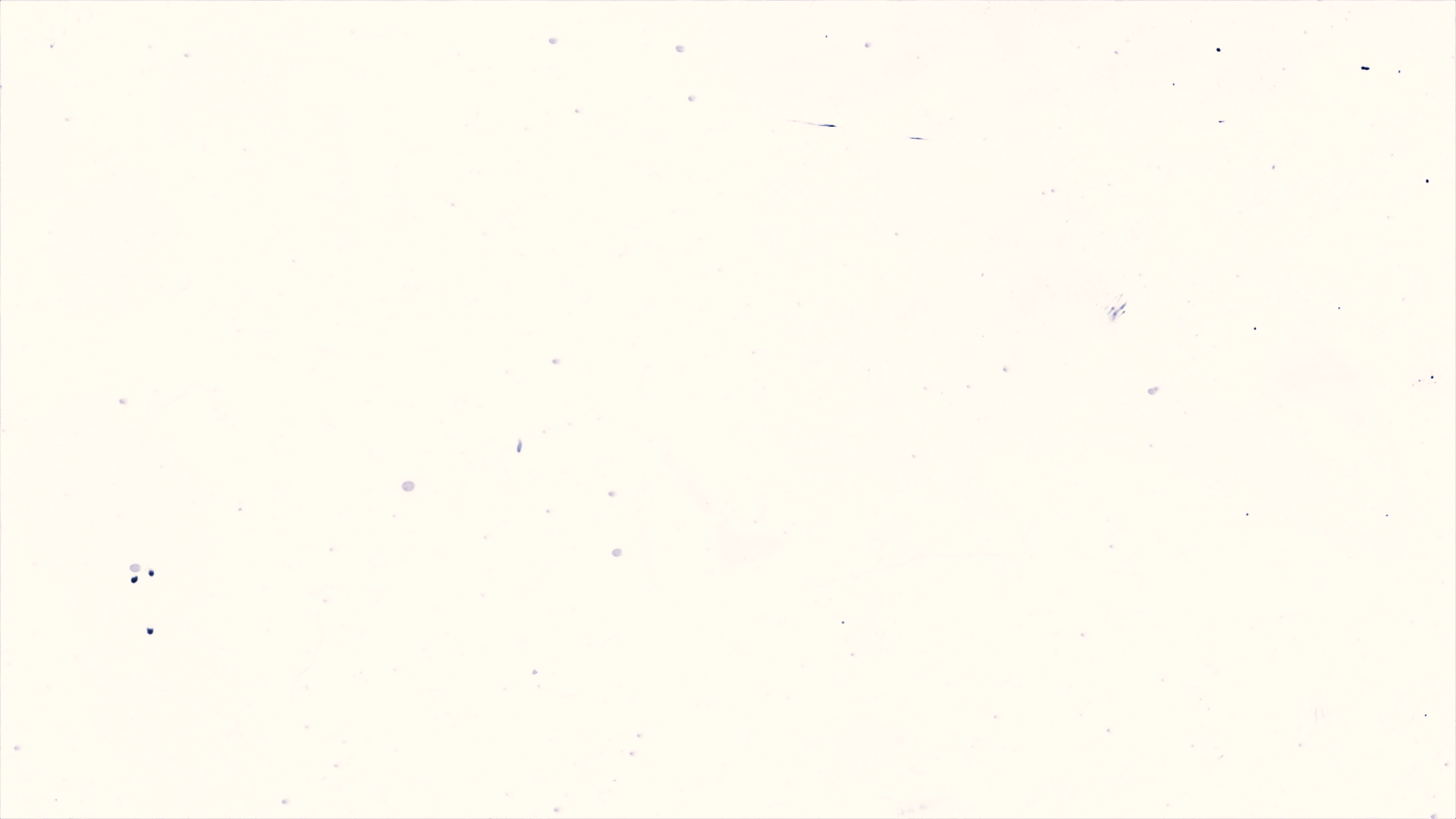 Showreel-22.gif