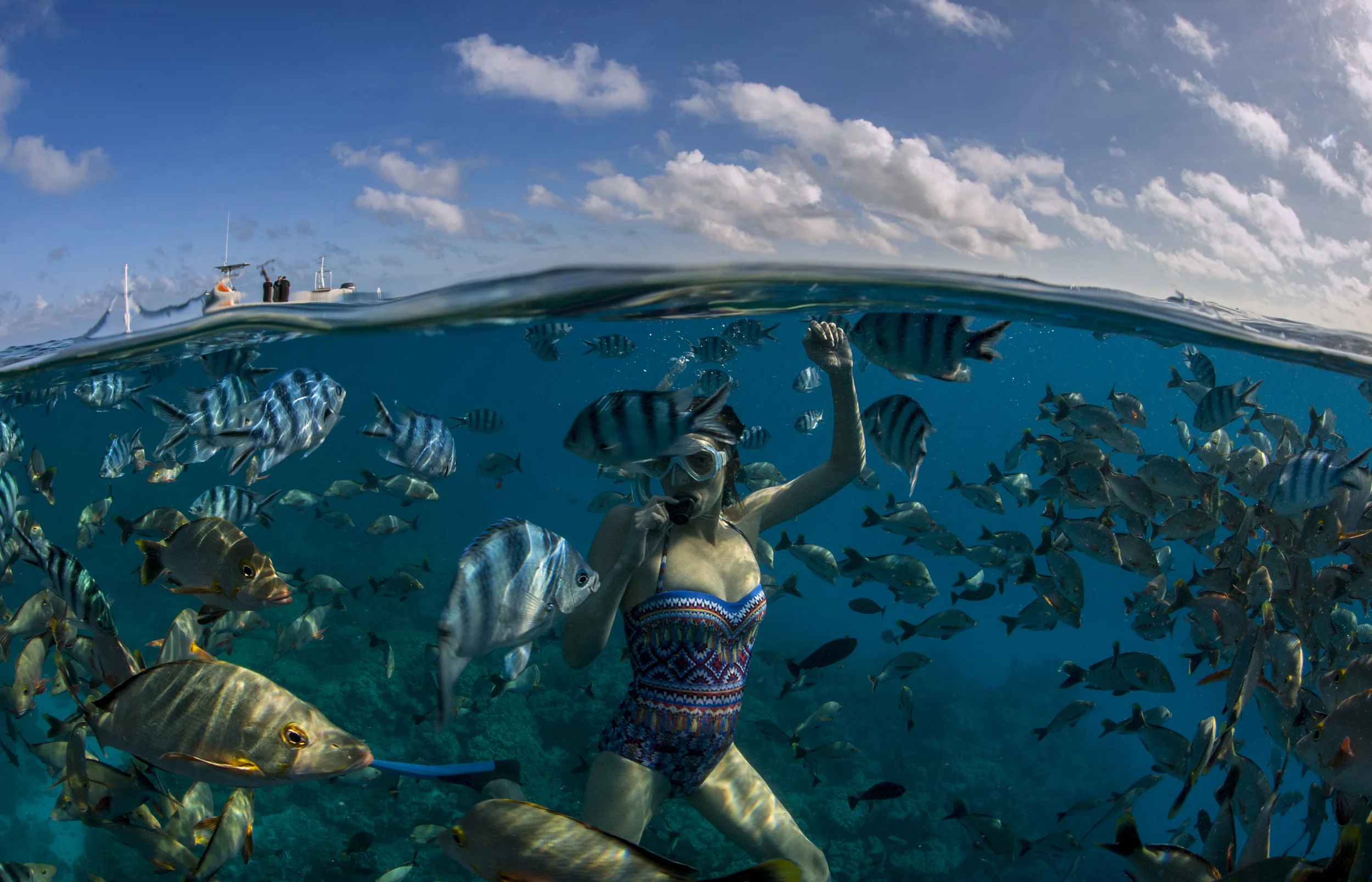 Kate Pollock with a school of fish, French Polynesia.