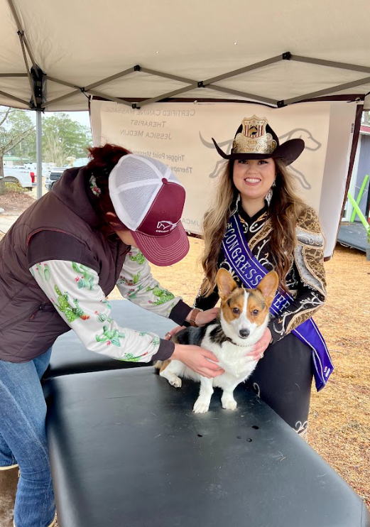 Screenshot 2026-03-13 155536.png