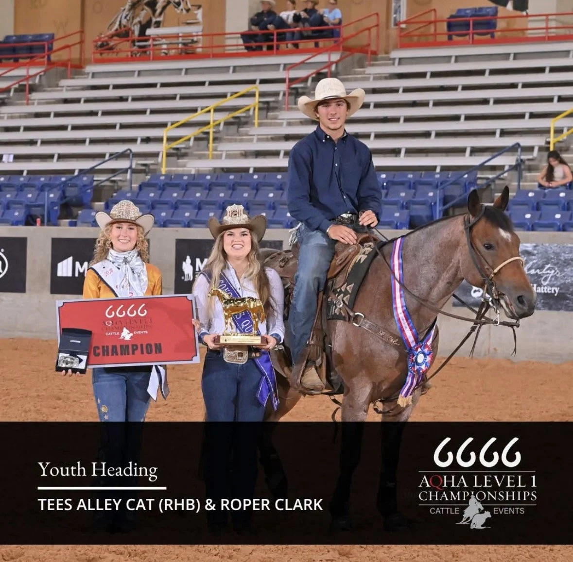 IMG_9279.PNG