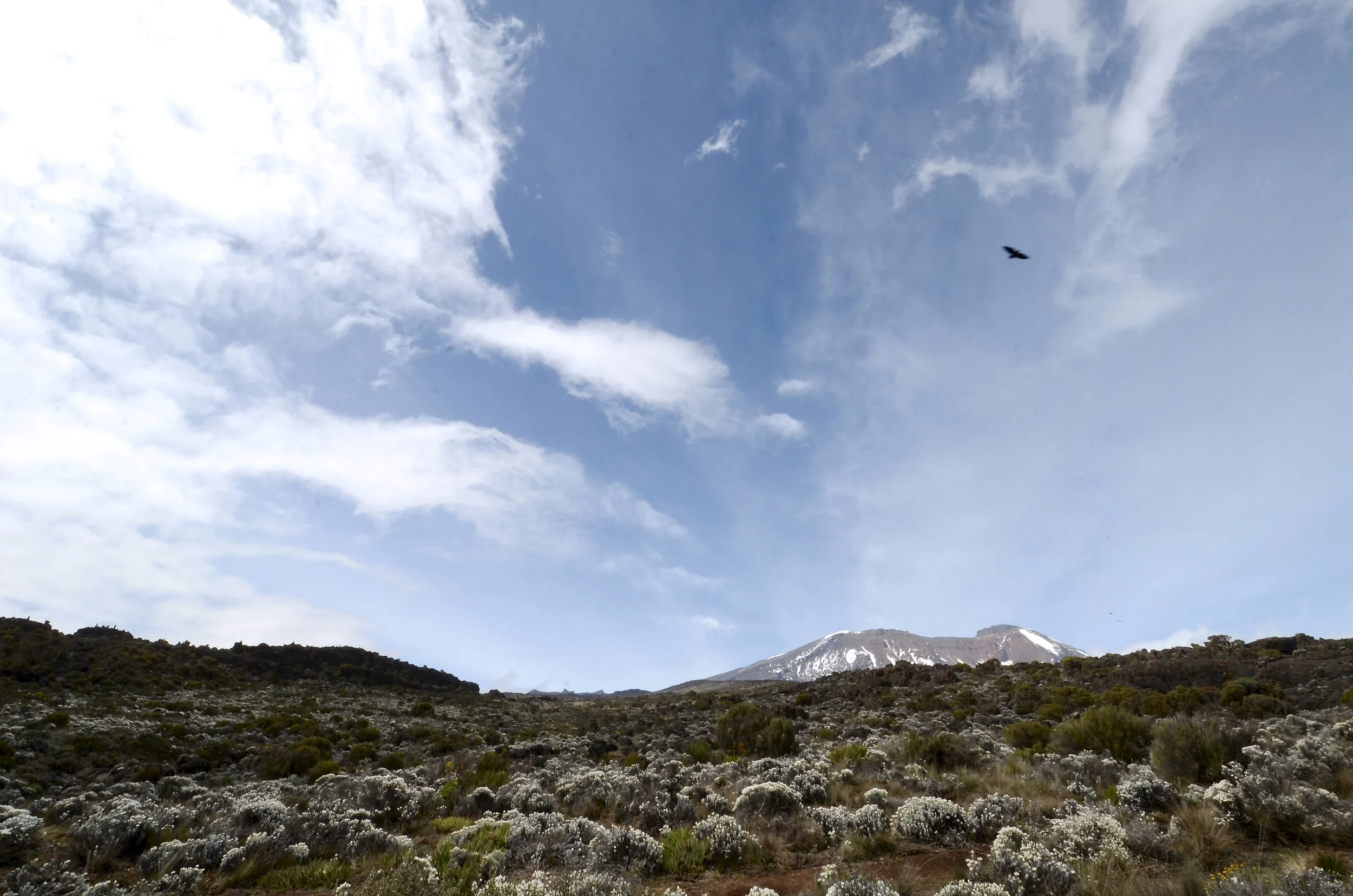 Mount Kilimanjaro