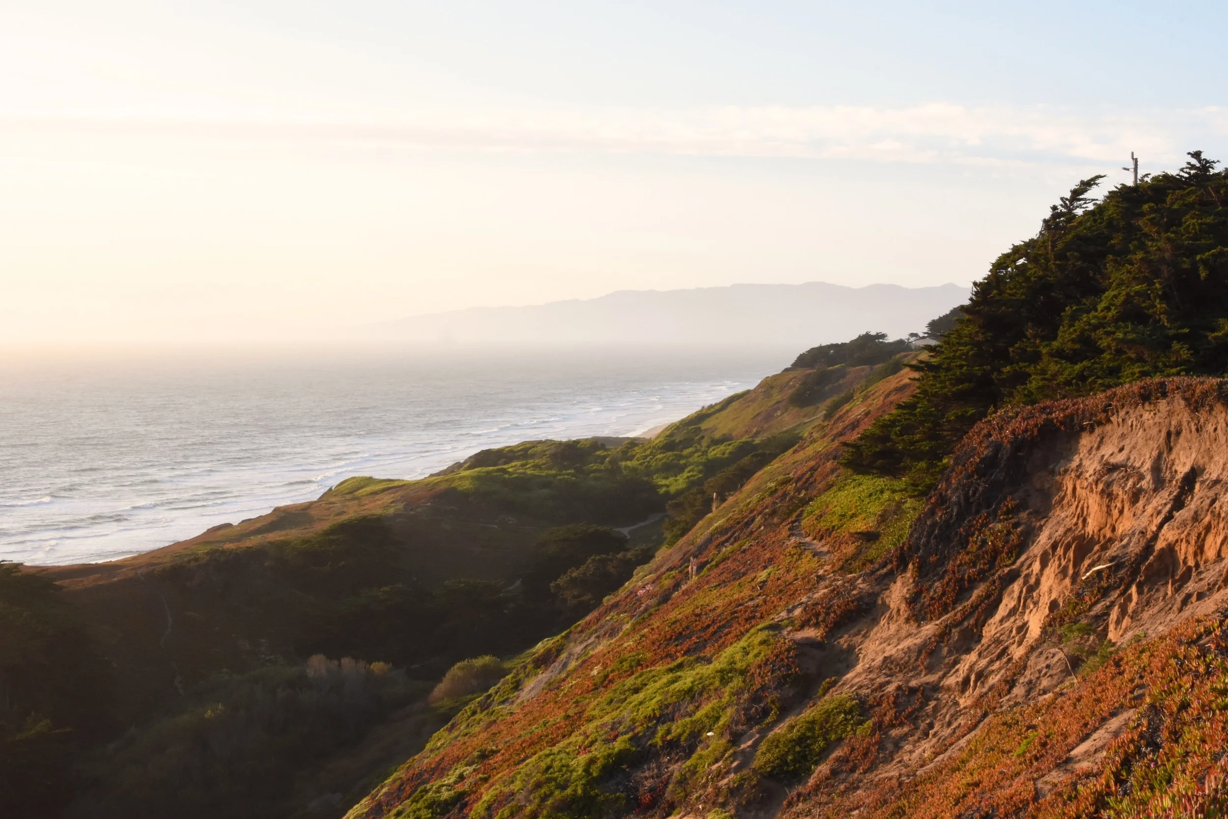 Fort Funston, San Francisco.