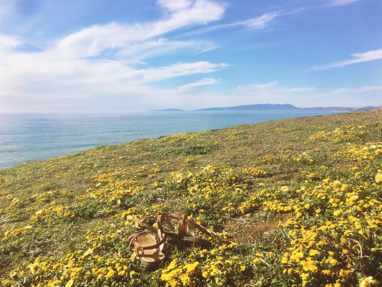 Mori Point, Pacifica