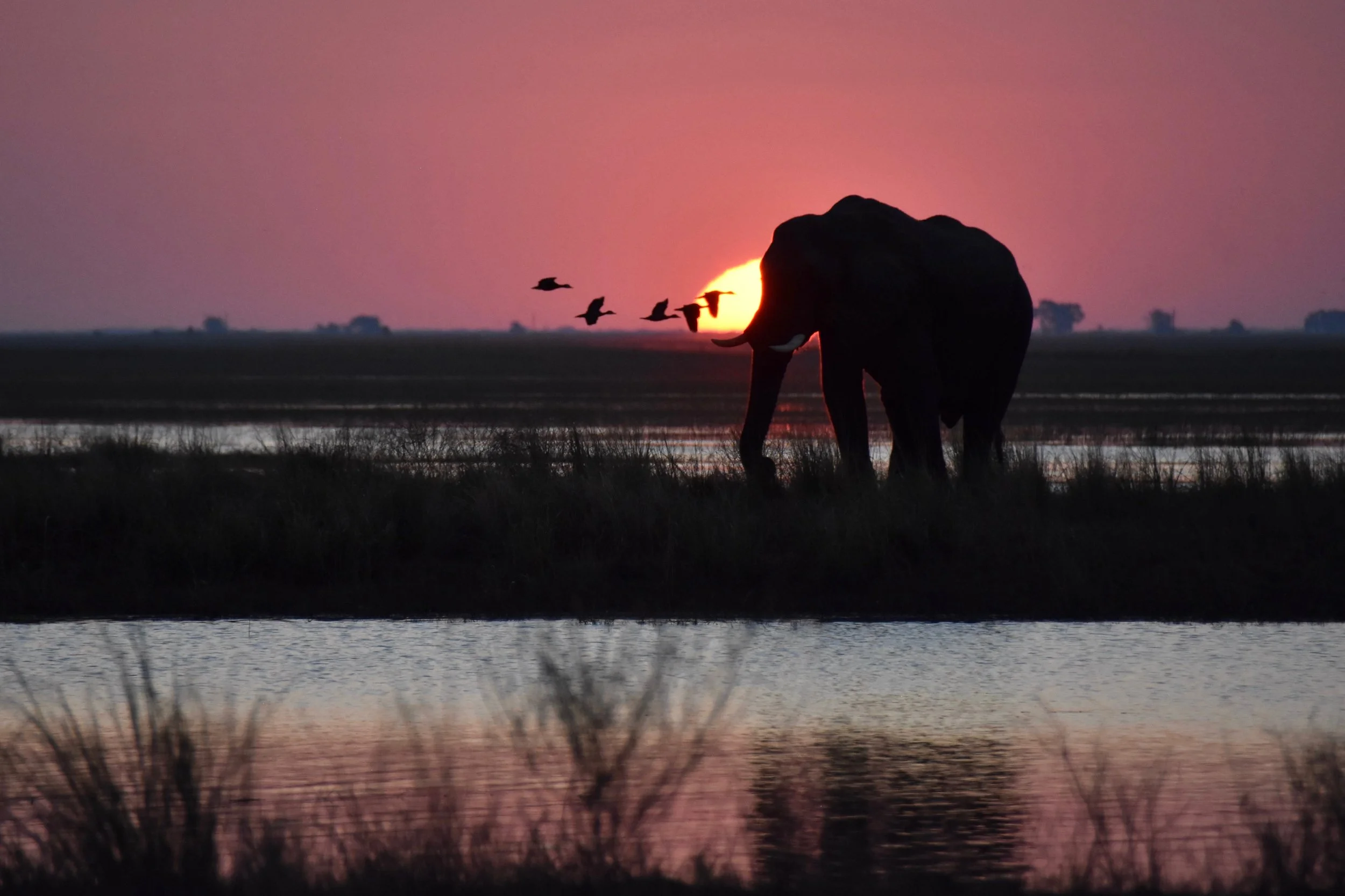 Botswana, 2017
