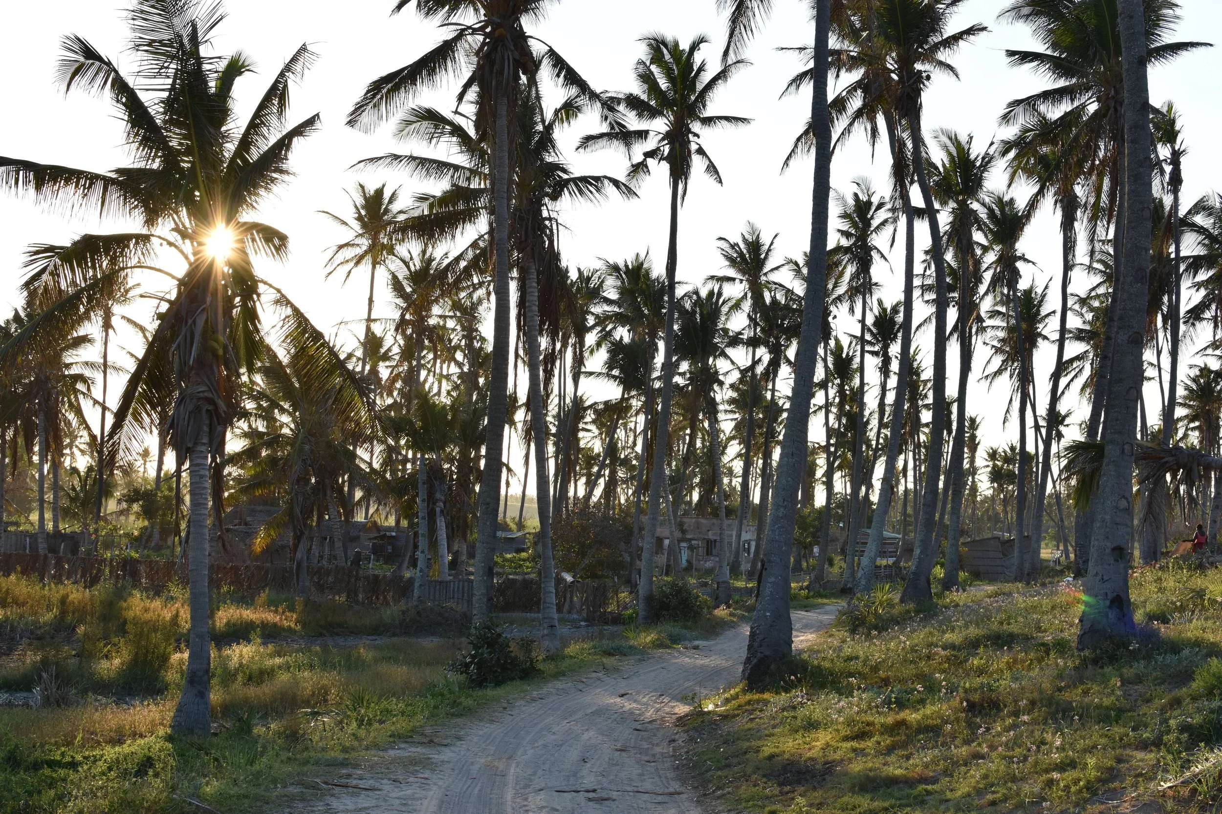 Tofo, Mozambique - the first place I'll unpack my bags.