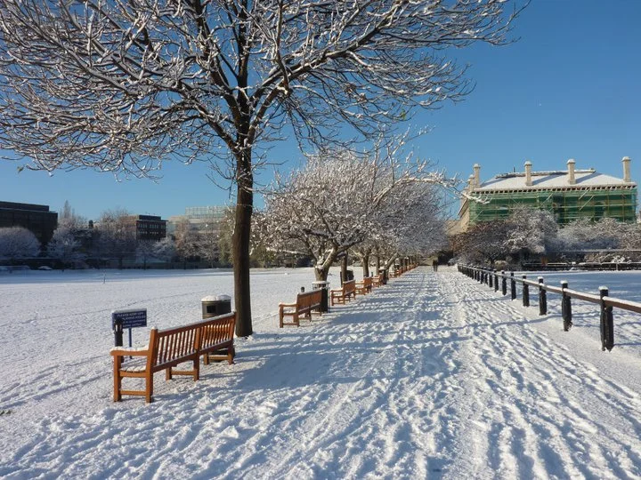 DUCC Sign Kamal Merchant as Winter Coach