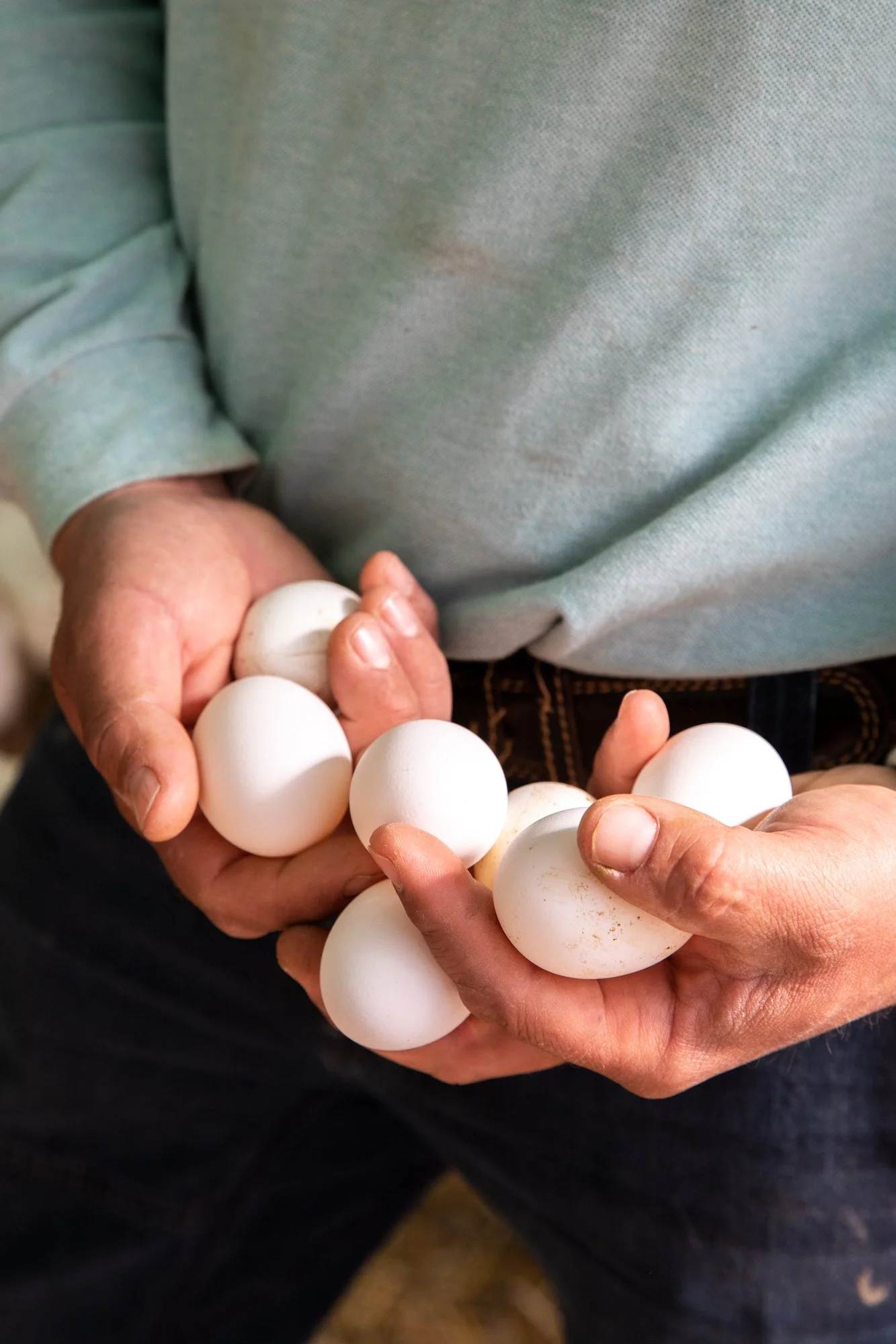Nicomedi-2831.jpg