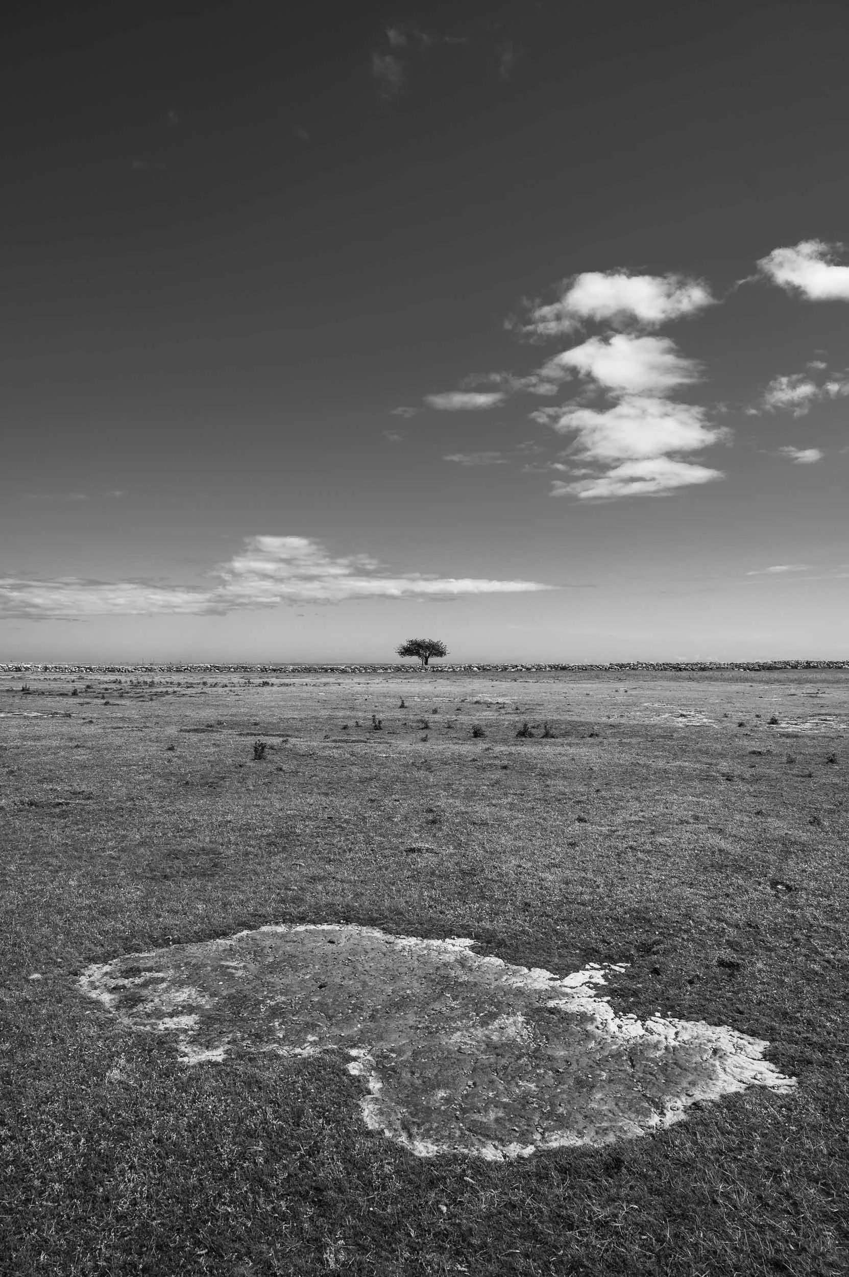 _DSC2775.jpeg