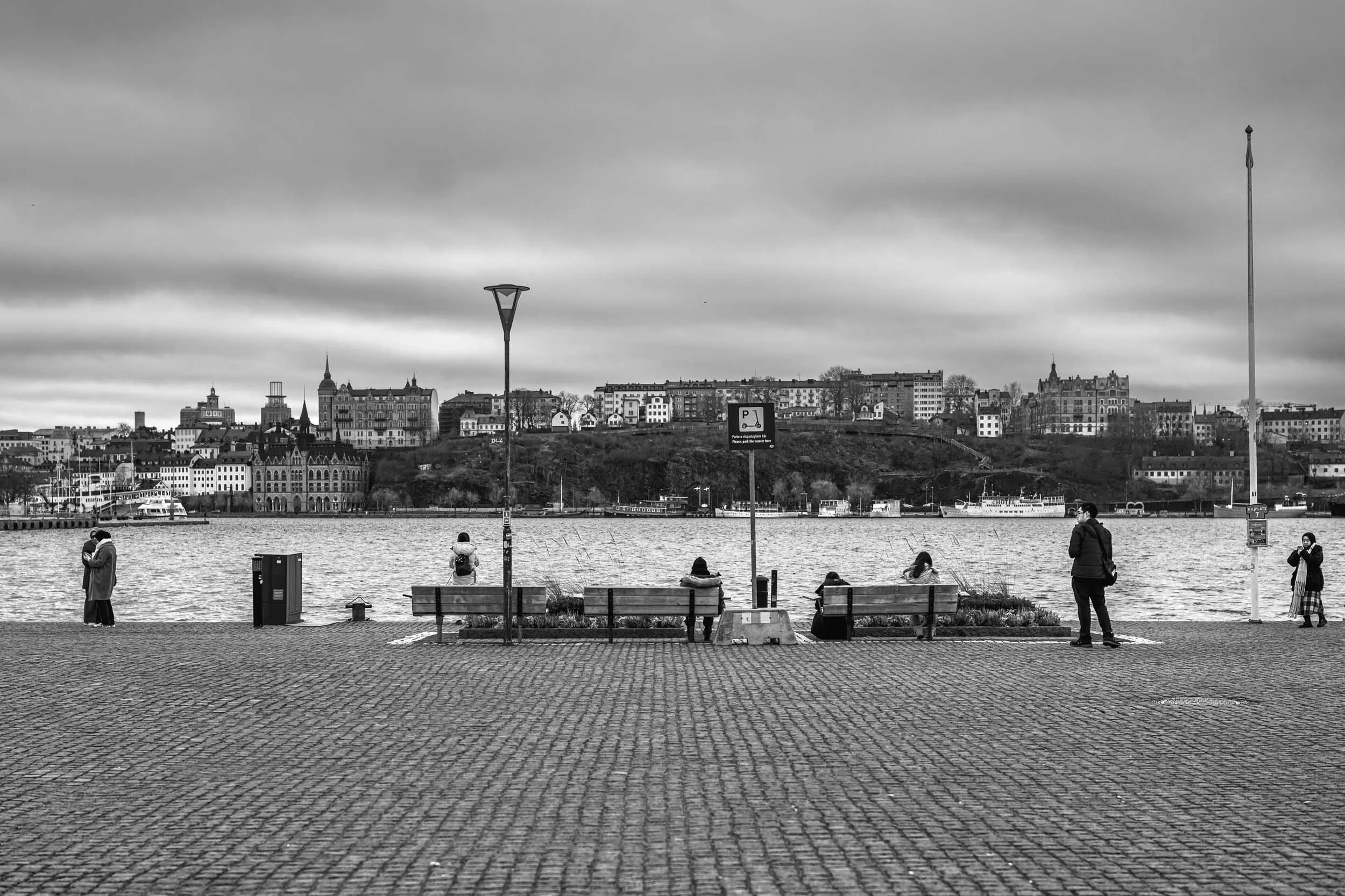 _DSC4669.jpeg