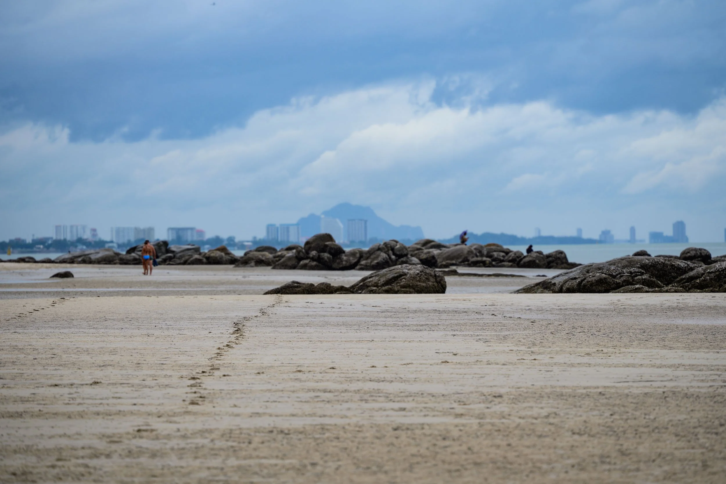 _DSC3887.jpeg
