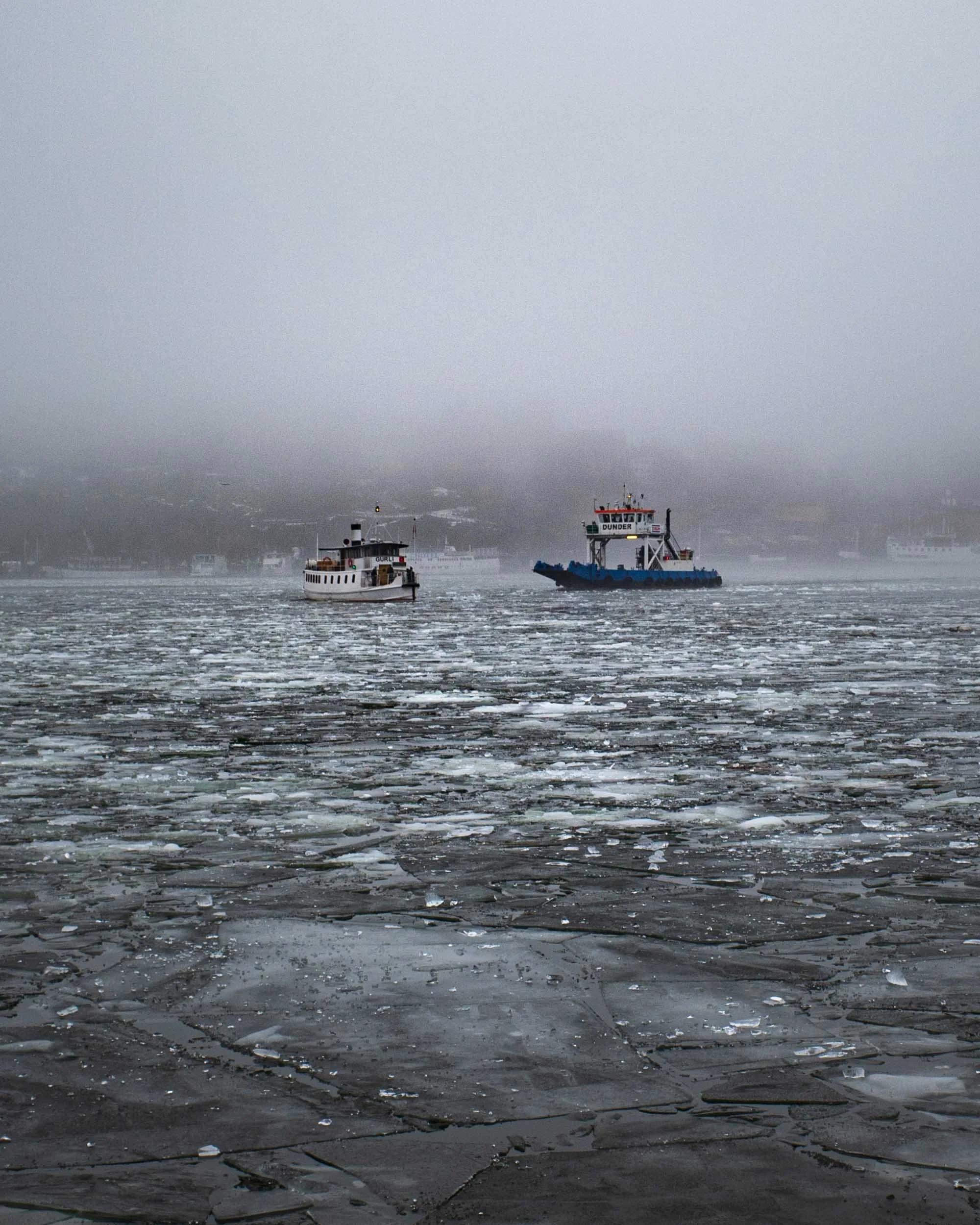 _R005386.jpg