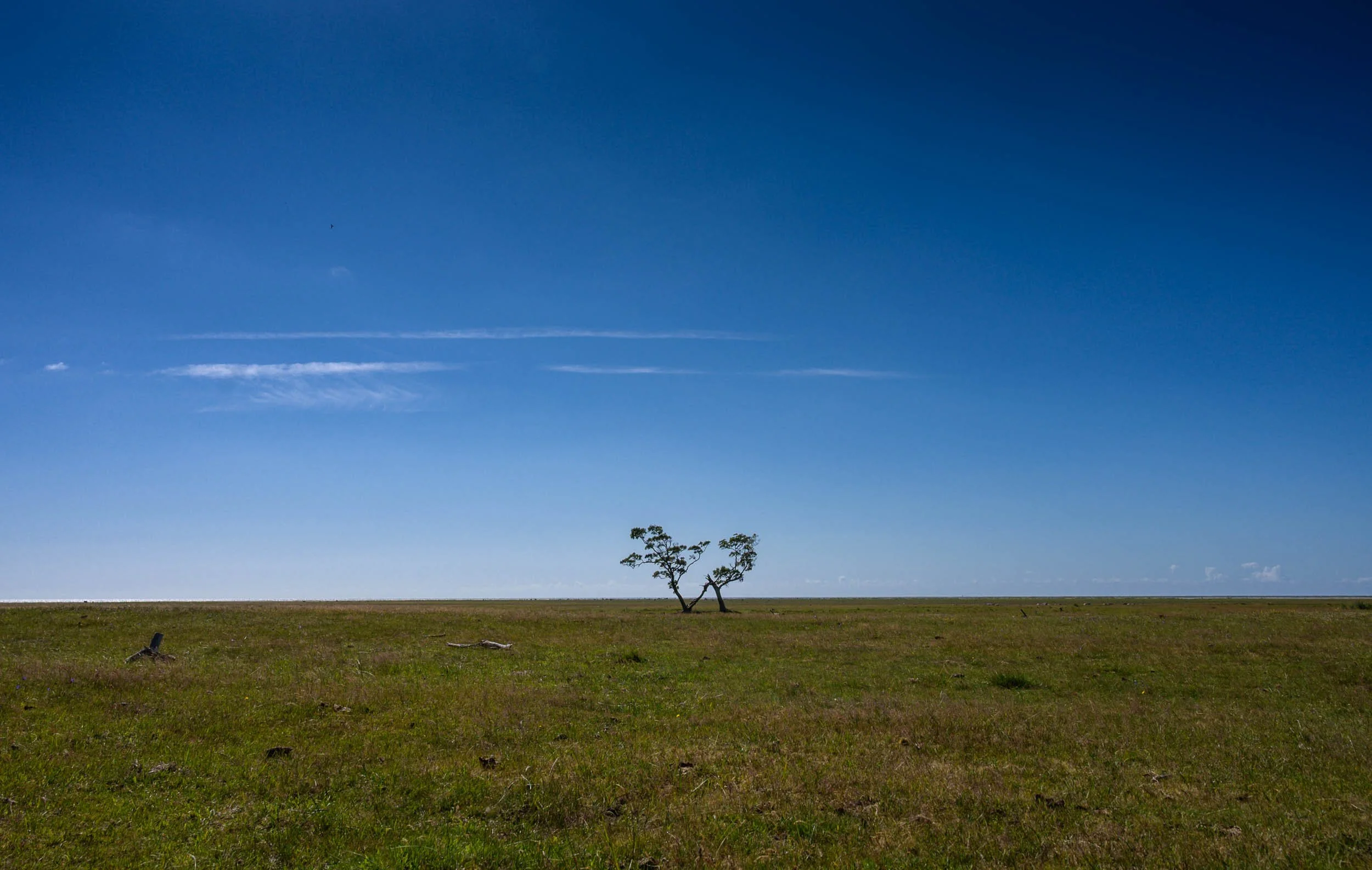 _DSC3324-Redigera.jpeg