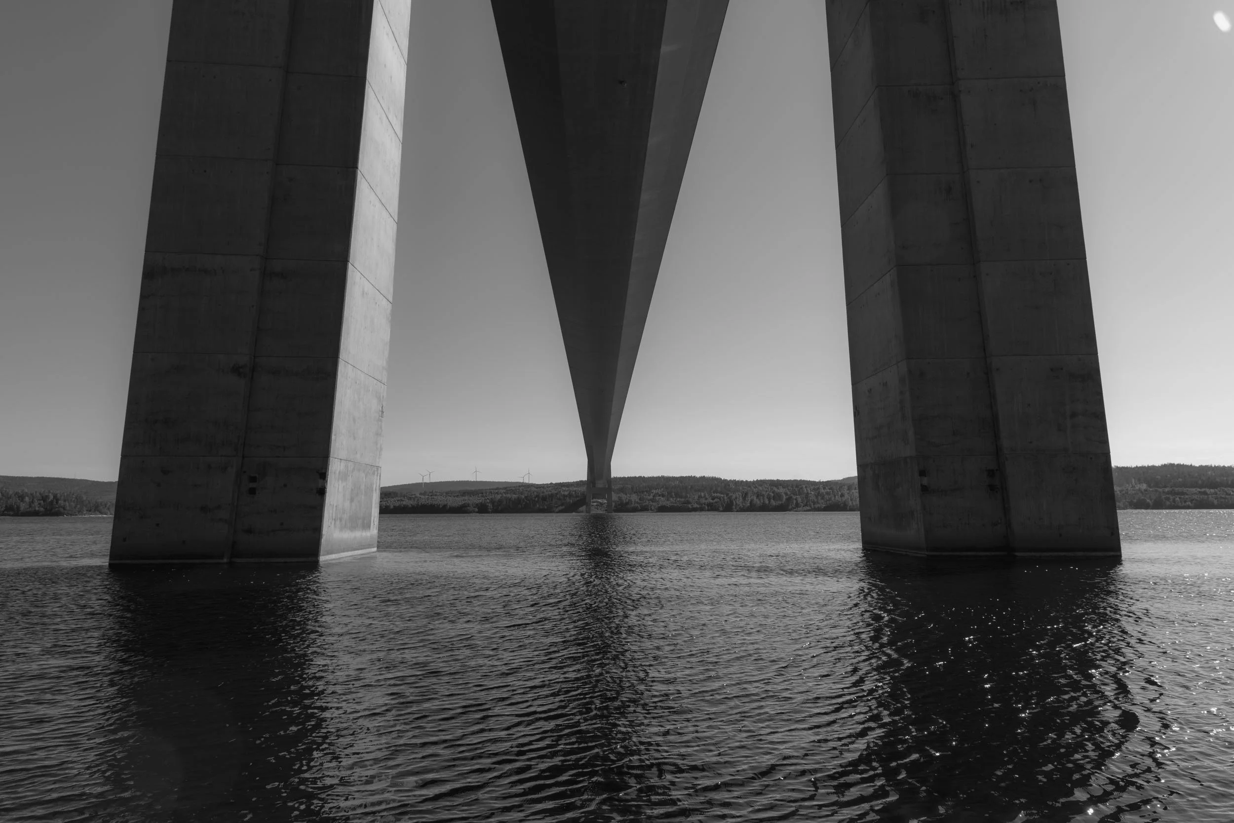 _DSC0143.jpeg