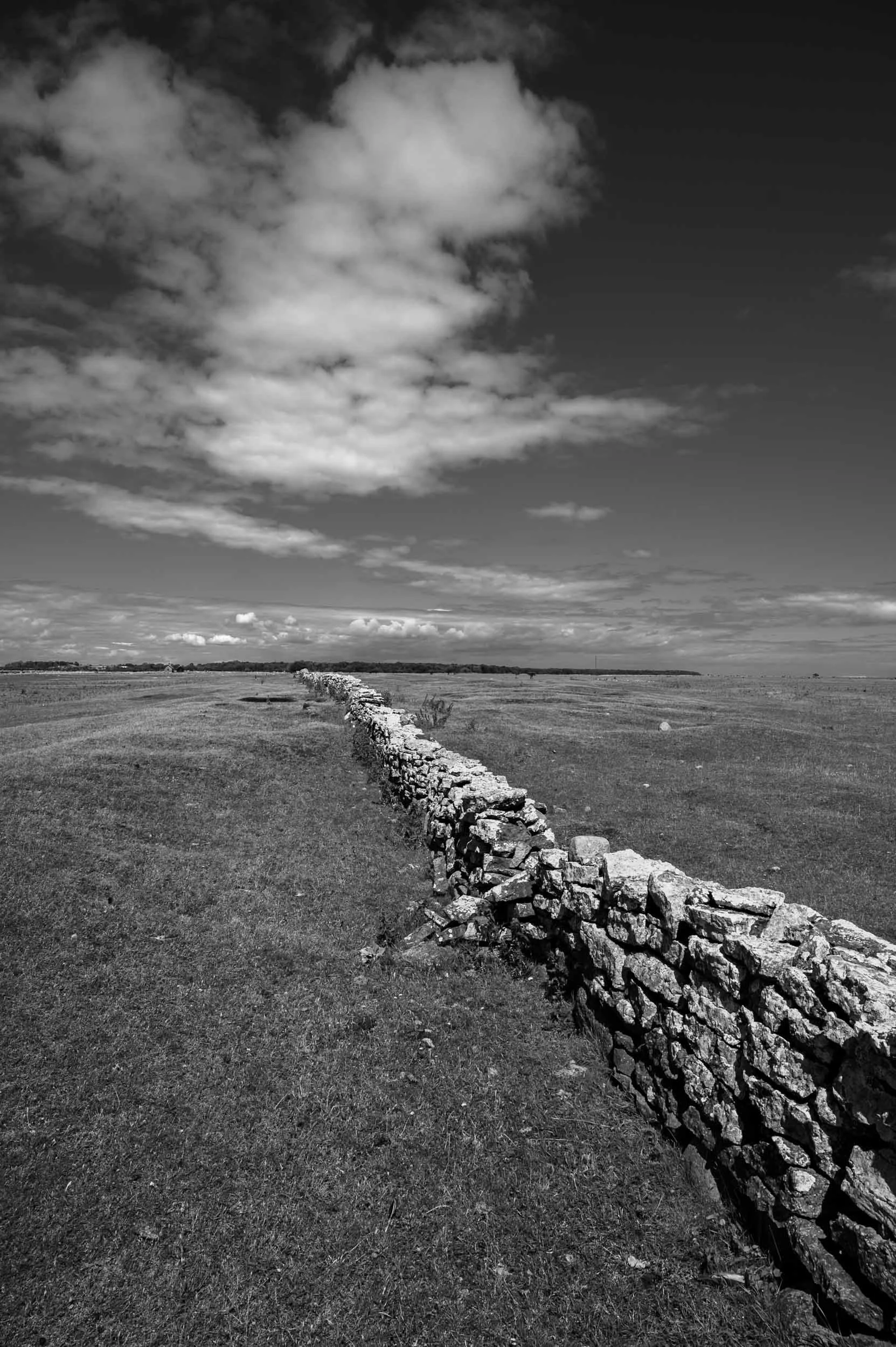 _DSC2741.jpeg