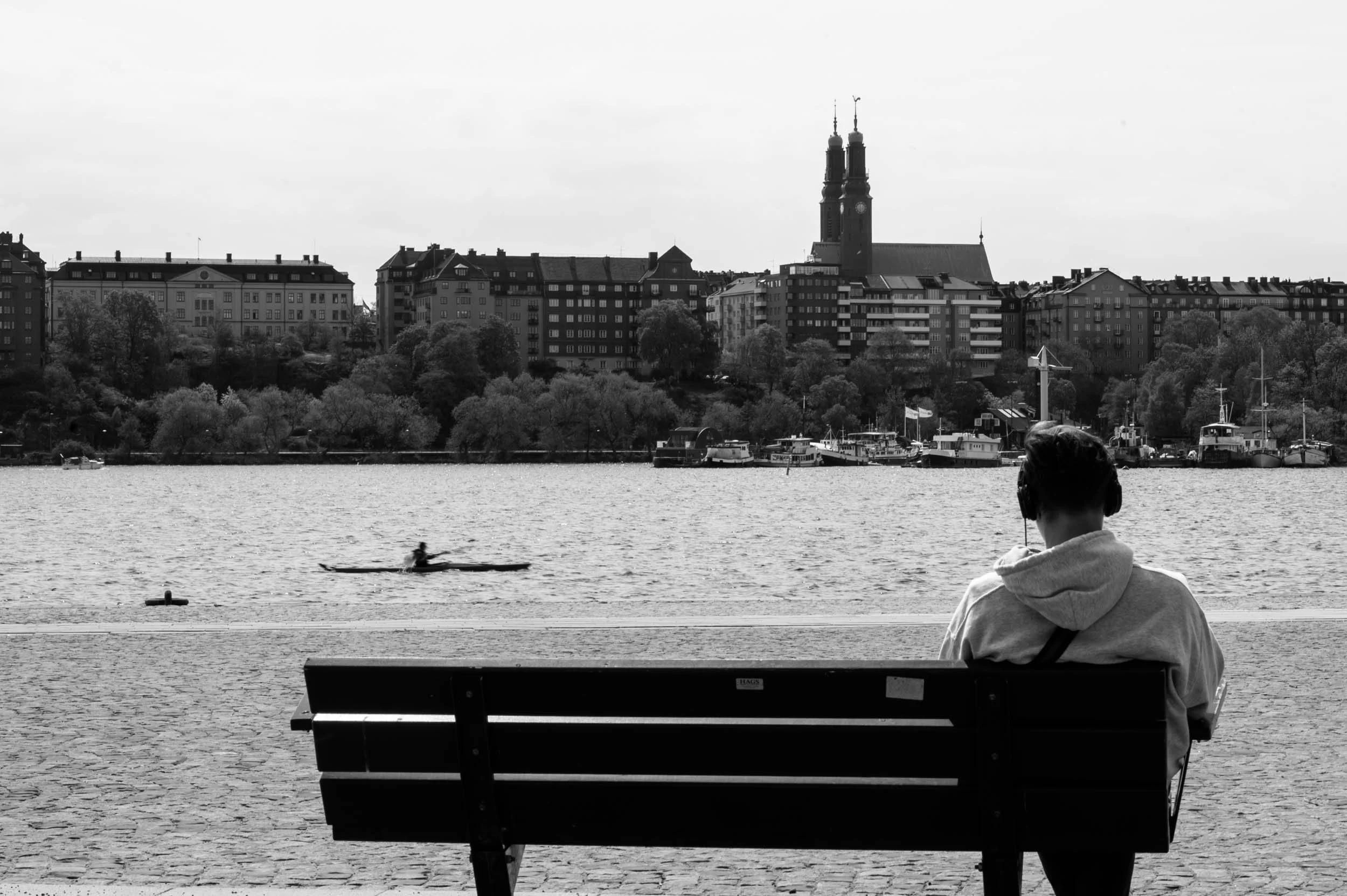 _DSC3461.jpeg