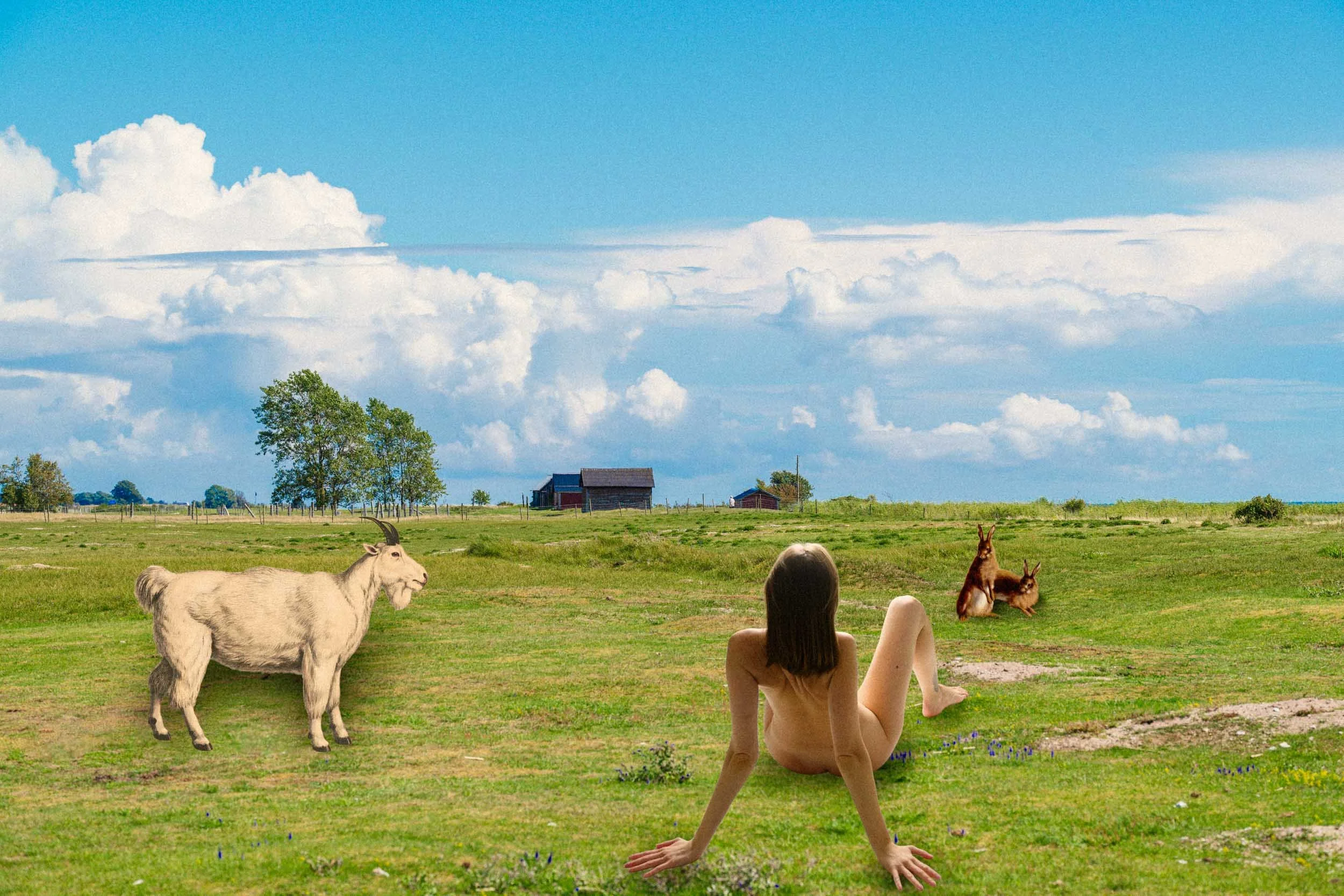 A summer day