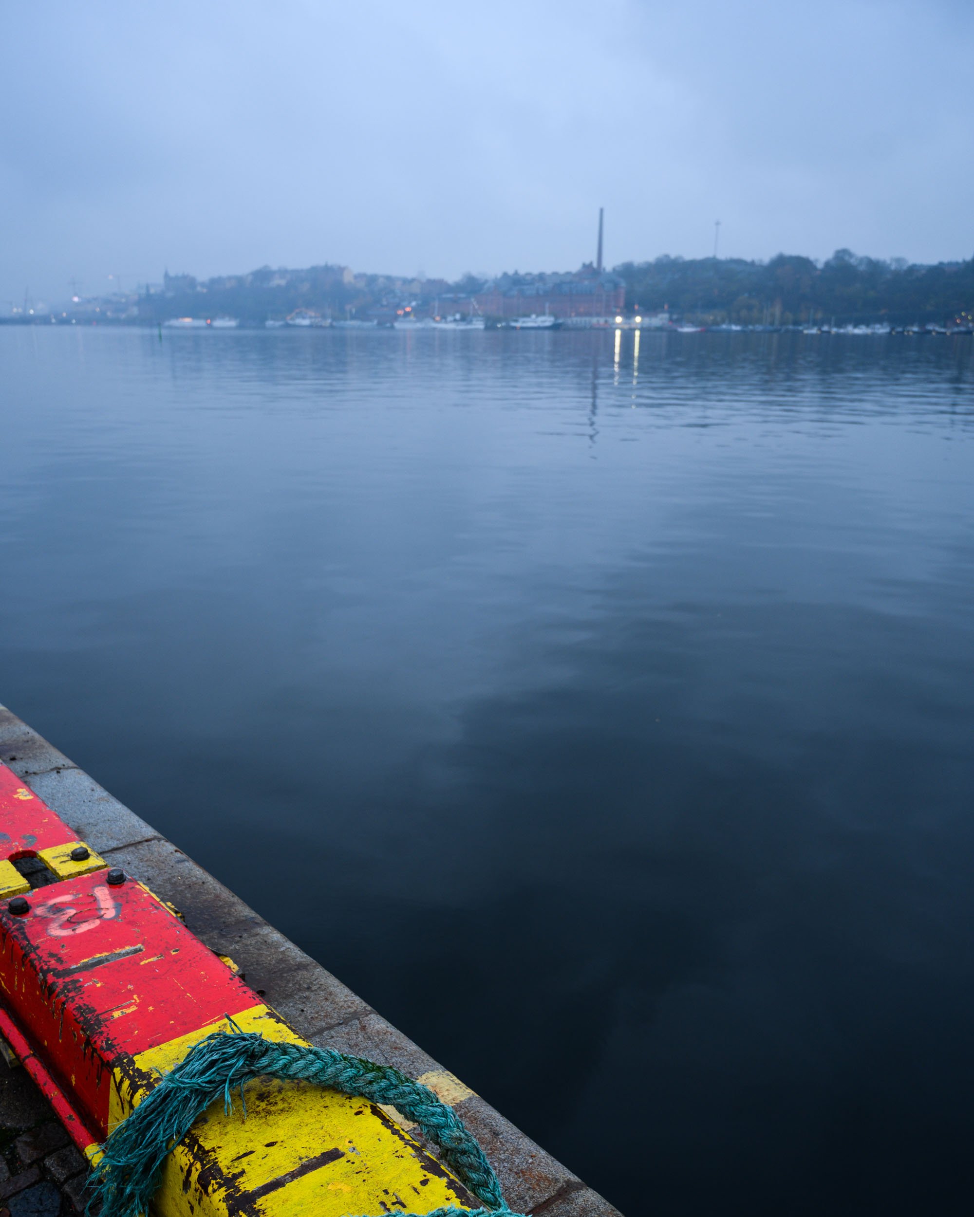 _DSC8813.jpg
