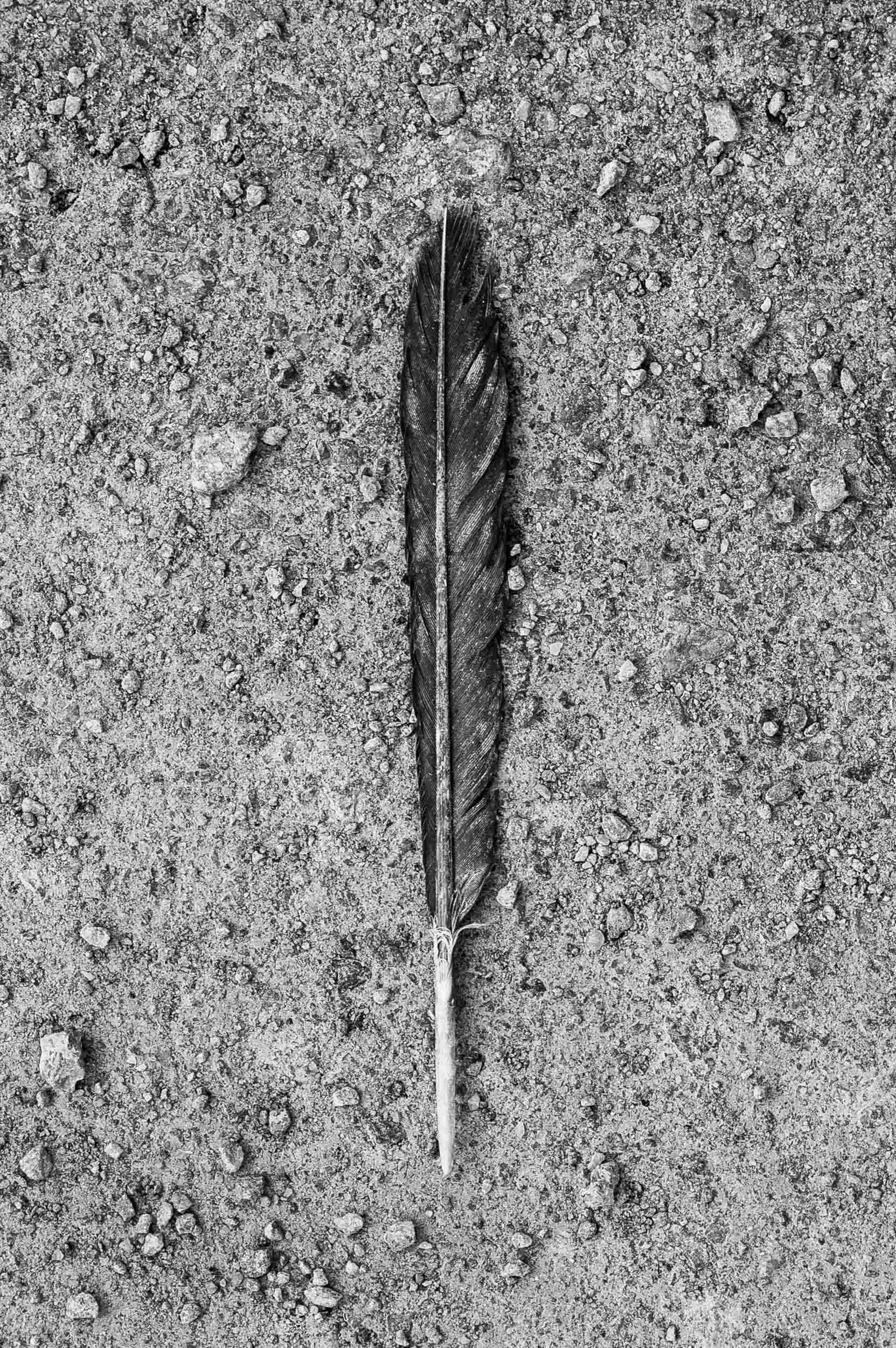_DSC2378.jpeg